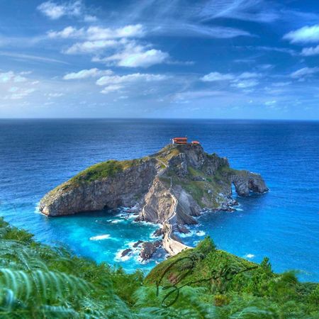 Apartamentos Arrigane غيرنيكا إي لونو المظهر الخارجي الصورة